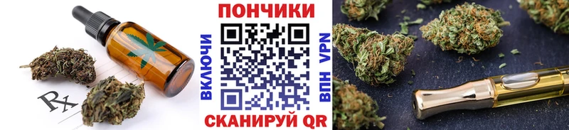 где купить наркоту  кракен как зайти  Cannafood конопля  Кириллов 
