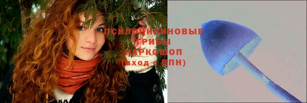 кокаин премиум Богородицк