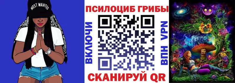 как найти закладки Кириллов ОМГ ОМГ Галлюциногенные грибы Cubensis